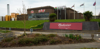 Budweiser brewing group